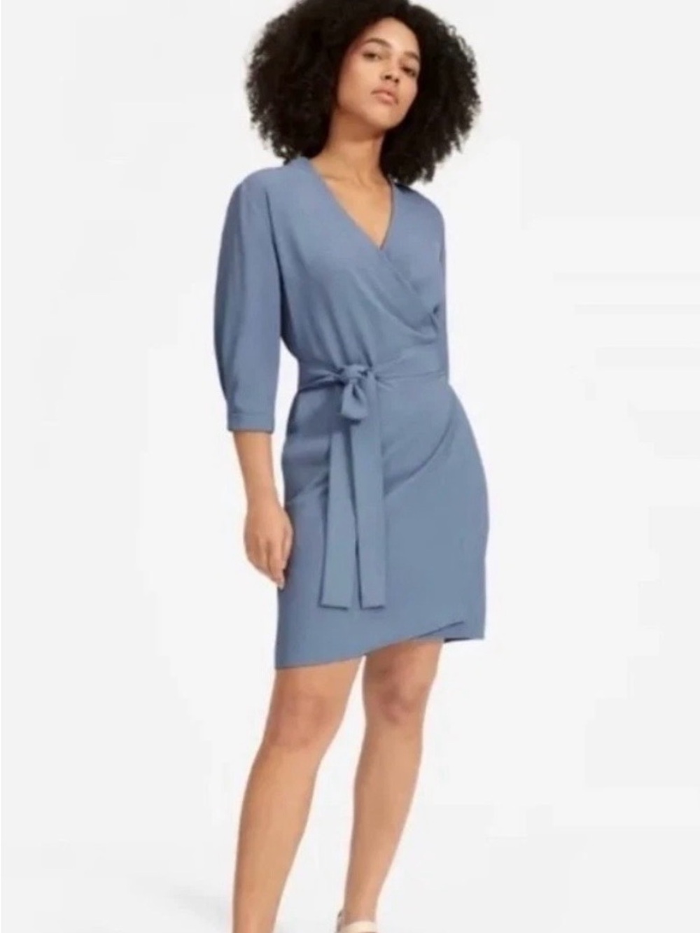 Everlane Japanese Go Weave Dusty Blue Wrap Mini Dress